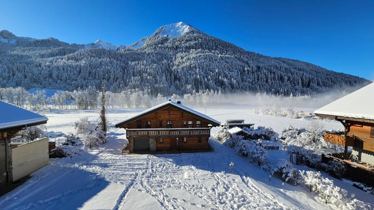 Demi-Chalet Vadel La Panthiaz 15 Pers 5 Chambres Abondance Eksteriør billede