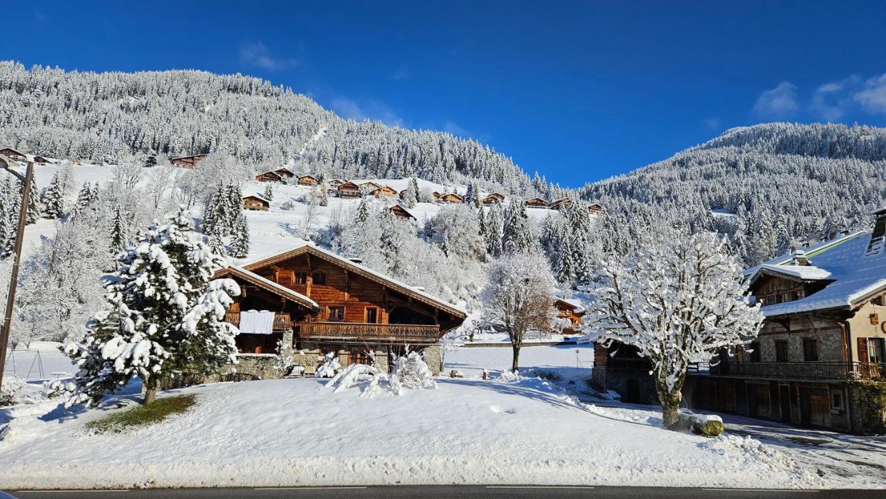 Demi-Chalet Vadel La Panthiaz 15 Pers 5 Chambres Abondance Eksteriør billede