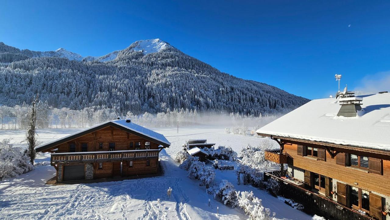 Demi-Chalet Vadel La Panthiaz 15 Pers 5 Chambres Abondance Eksteriør billede