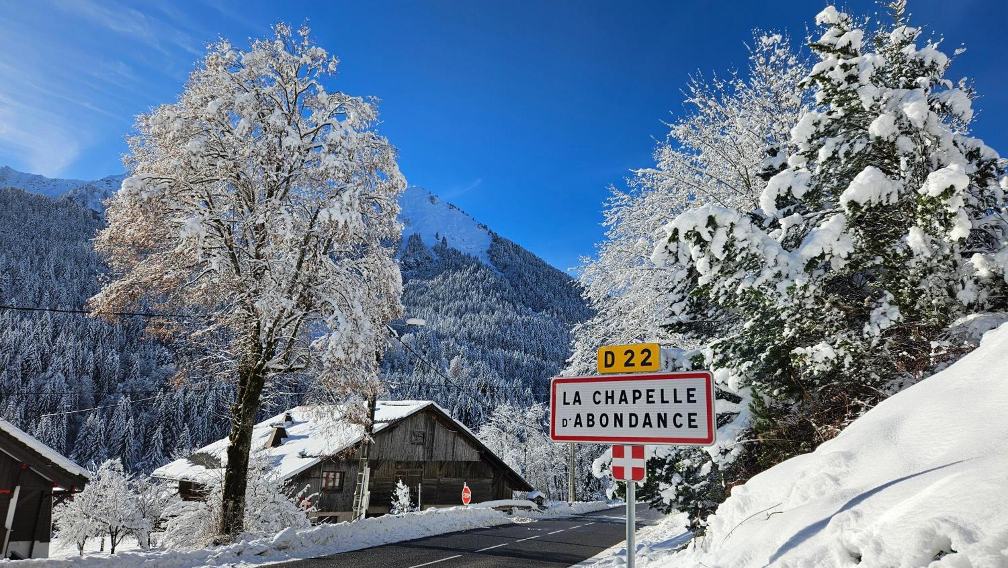 Demi-Chalet Vadel La Panthiaz 15 Pers 5 Chambres Abondance Eksteriør billede