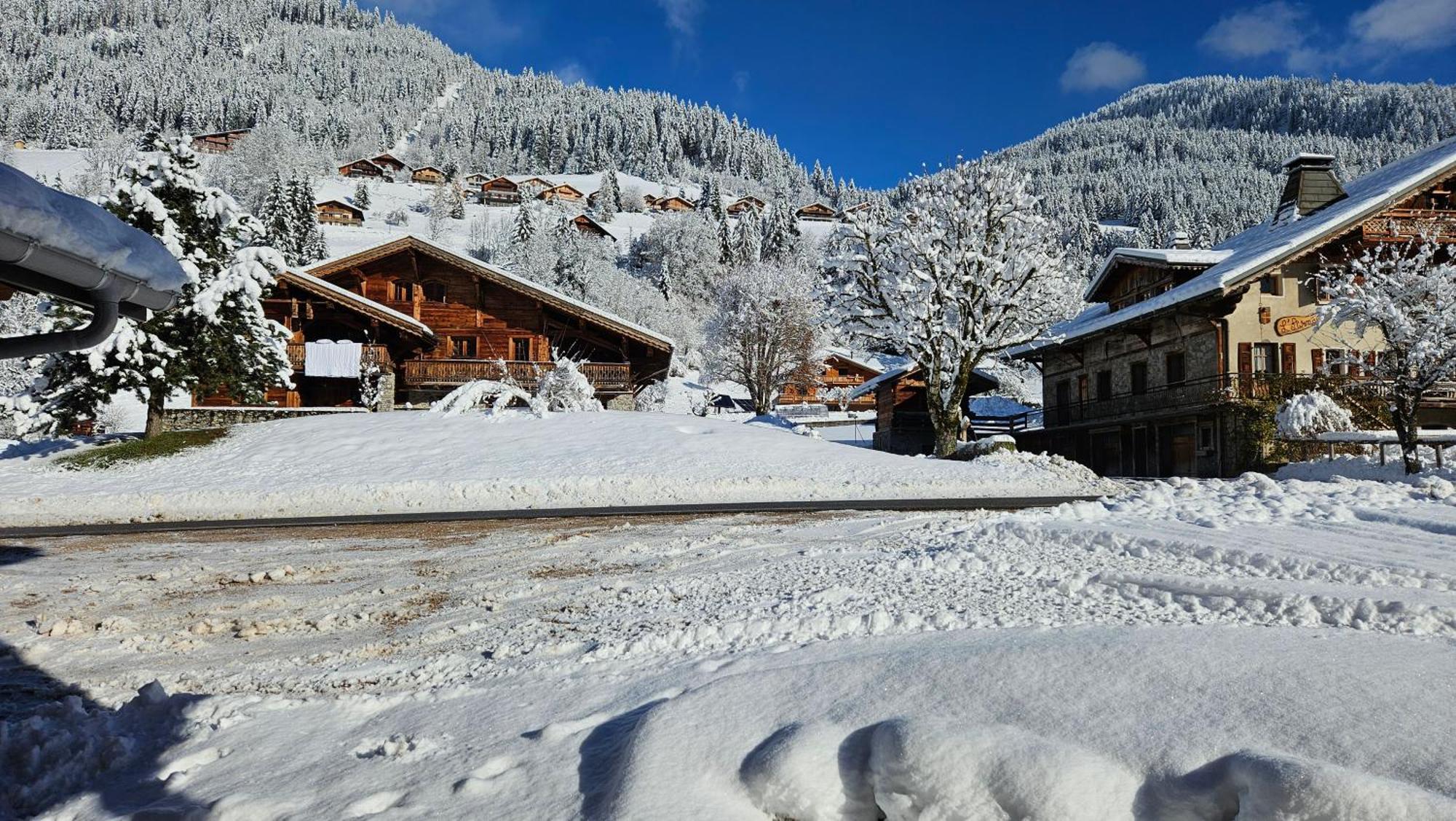 Demi-Chalet Vadel La Panthiaz 15 Pers 5 Chambres Abondance Eksteriør billede