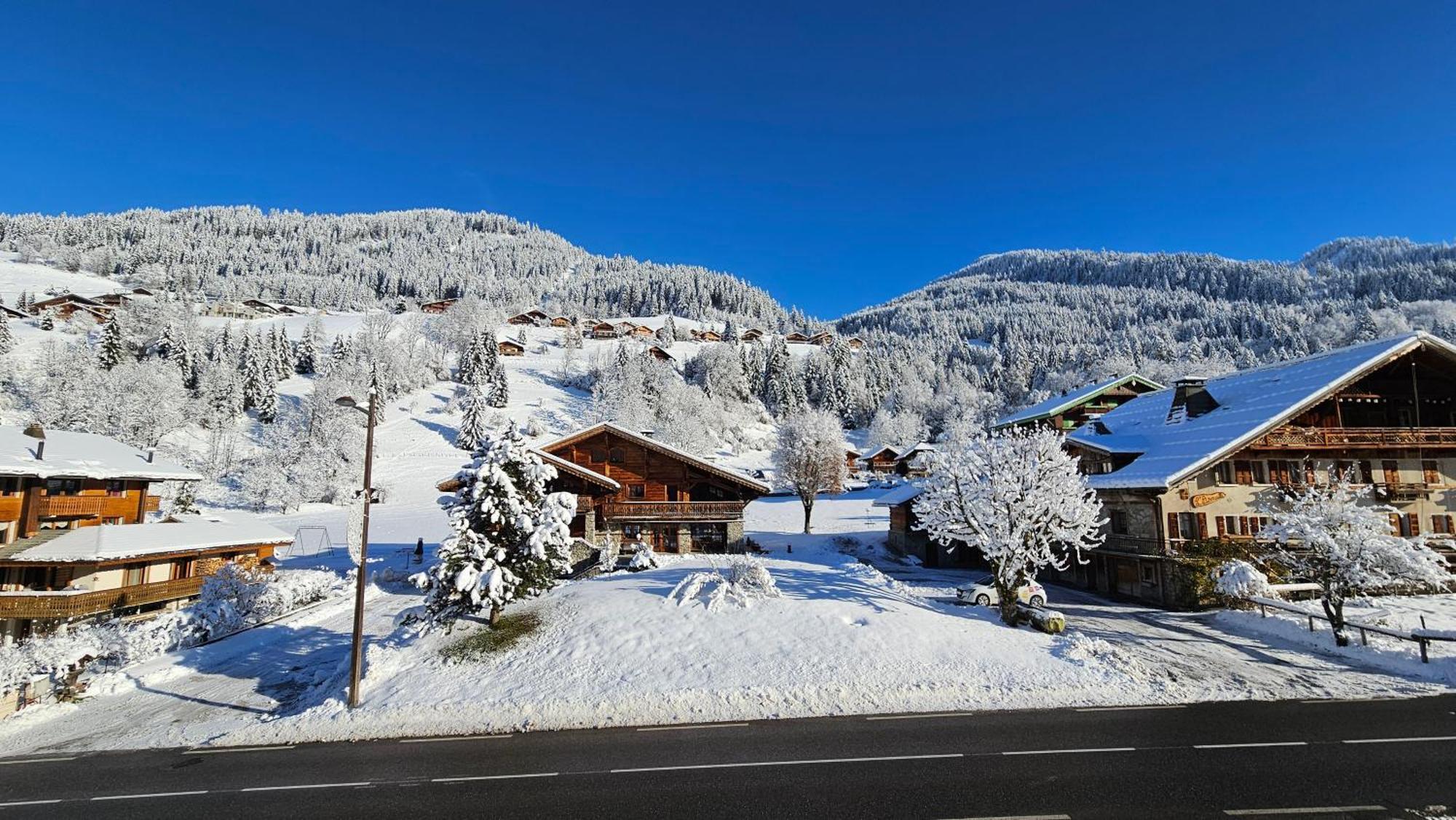 Demi-Chalet Vadel La Panthiaz 15 Pers 5 Chambres Abondance Eksteriør billede